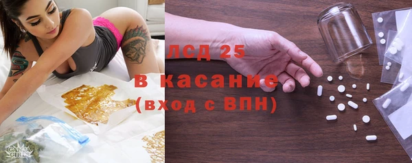 шишки Ельня