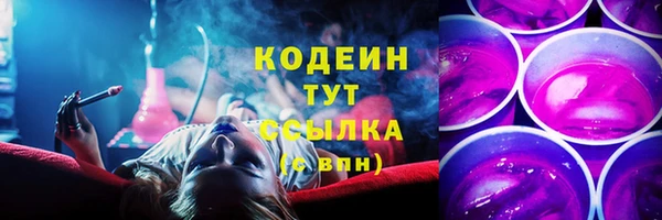 шишки Елабуга