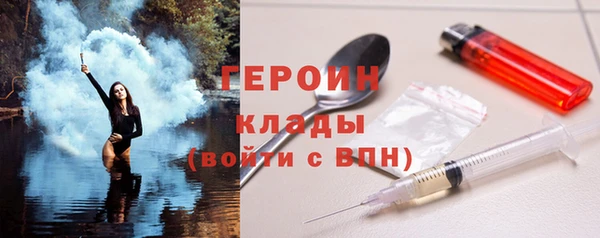 шишки Ельня