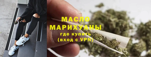 шишки Ельня