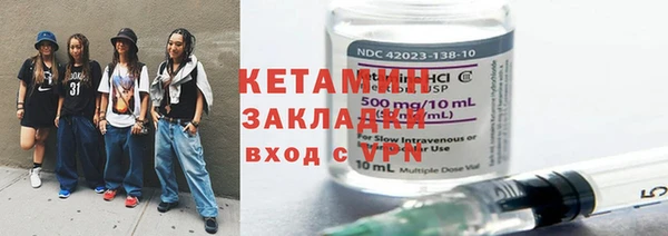 шишки Ельня