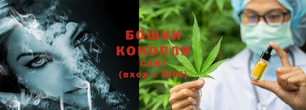 шишки Елабуга