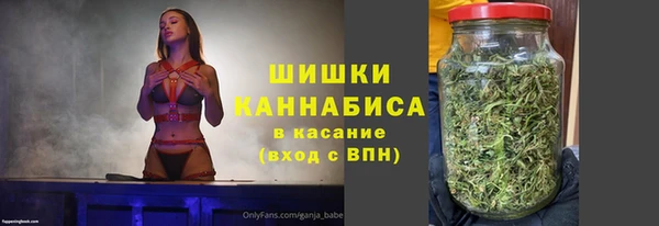 шишки Елабуга