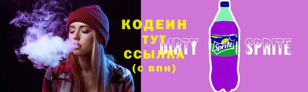 шишки Ельня