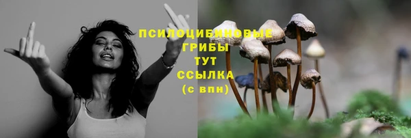 первитин Елизово