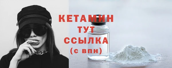 шишки Ельня
