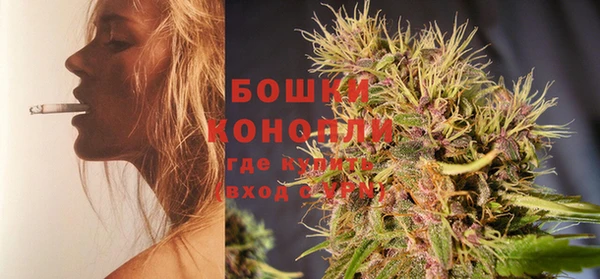 шишки Елабуга