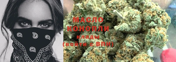 шишки Ельня