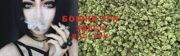 шишки Елабуга