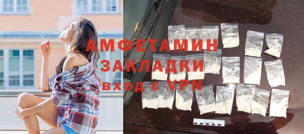 шишки Ельня