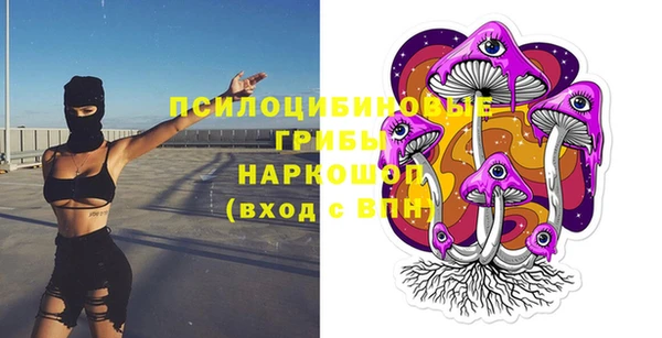 шишки Елабуга