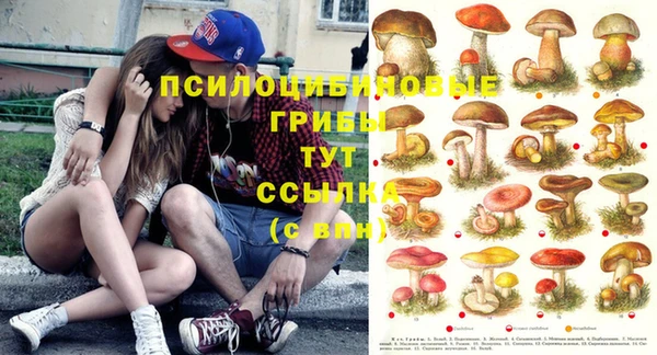 шишки Елабуга