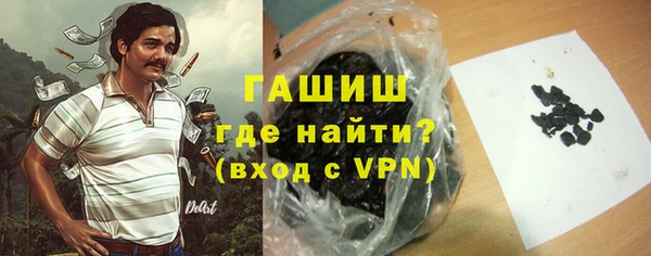 шишки Ельня