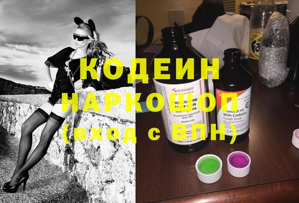 шишки Ельня