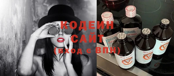 шишки Ельня